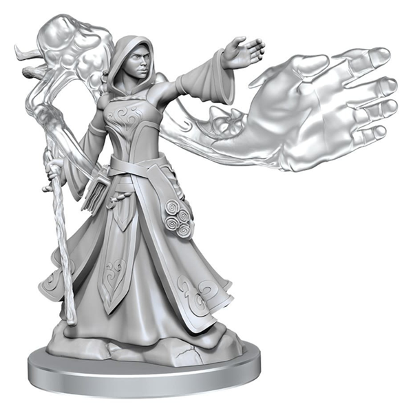 Dungeons & Dragons Frameworks - Elf Wizard